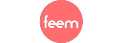 Logo Feem
